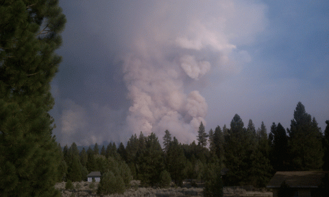 readingfire