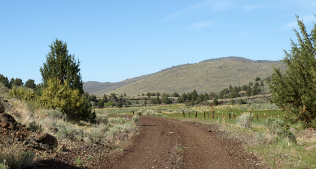 Natural springs dot the landscape along the trail creating patches of lush green in the normally arid region.