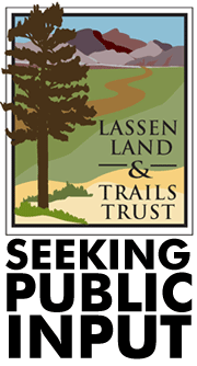 llttseeking