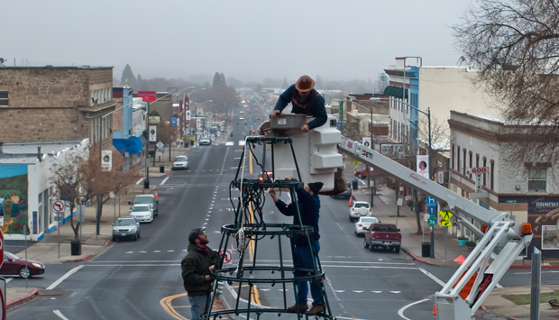 Wyatt Hanson, Michael Mena and Gary Felt working at the top of the tree.